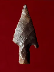 Antiquite egípcia: ponta de seta do local de Fayoum (Fayyum ou Fayum) no Egito. Período pré-dinástico. Verone, Museo Civico di Storia Naturale, Itália
