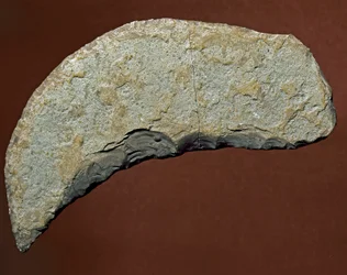 Pré-história: utensílio do tipo chopper de fabrico lítico da cultura dos Køkkenmøddinger, Dinamarca. Paleolítico. Verona, Museo Civico di Storia Naturale, Itália