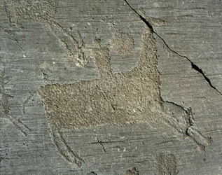 Pré-história, civilização dos Camunos, arte rupestre: rocha gravada representando um guerreiro a cavalo com um escudo. Período entre o Neolítico e a Idade do Bronze. Capo di Ponte, Parco nazionale delle incisioni rupestri di Naquane, Valcamonica, Val