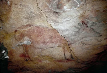 Pré-história: Pintura rupestre "um veado" do Paleolítico Superior (Magdaleniano) (entre 16500 e 14000 anos atrás) Caverna da Idade da Pedra de Altamira, Santander, Espanha