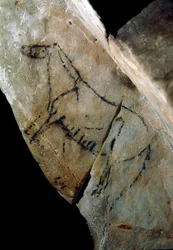 Pré-história: "a horse" rock painting of style IV, Upper Paleolithic (Magdalenian) (entre 18000 e 14000 anos atrás) Stone Age Cave of Las Monedas, Santander, Espanha - Pré-história: cavalo. Pintura rupestre, estilo IV, Paleolítico Superior (Magdaleniano) (
