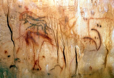 Pré-história : um homem ferido (pintura rupestre)