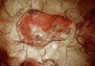 Pré-história: pintura rupestre "bisão em repouso" do Paleolítico Superior (Magdaleniano) (entre 16500 e 14000 anos atrás) Caverna Bison Age, Altamira, Santander, Espanha - Pré-história: bisão em repouso. pintura rupestre, Paleolítico Superior (Magdaleniano