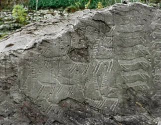 Pré-história, arte rupestre: rocha funerária com representações de veados e bovinos. Idade do Cobre. Período eneolítico (calcolítico). Rocha n.º 1. Cemmo (Brescia), Parco Archeologico Nazionale dei Massi di Cemmo, Itália