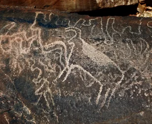 Pré-história, arte rupestre: pedra tumular da representação do gado. Estilo tazina. Idade da pedra 5000-2000 AC. Taghit, planalto Haut du Hoggar (Ahaggar), Argélia