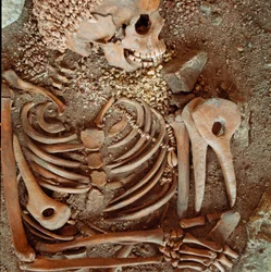 Pré-história: esqueleto e enxoval funerário de adolescentes, ditos do jovem príncipe da gruta das Arene Candide, Finale Ligure: colar de conchas, haste de veado e sílex. Idade da Pedra, Paleolítico Superior. Génova, Museo di archeologia Ligure