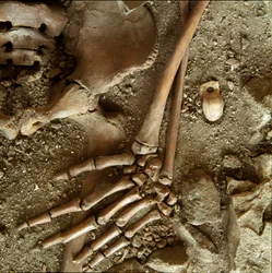 Pré-história: sepultura juvenil. Vista detalhada do enxoval funerário da caverna do Candidato Arene (Finale Ligure), Ligúria. Paleolítico Superior, 24000 AC. Genes, museo di archeologia ligure