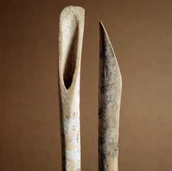 Pré-história: ferramentas para remover a casca das canelas de cabras e ovelhas do Necropole de Arene Candide (Finale Liguria), Liguria. Neolítico Médio, Idade da Pedra. Genes, museo di archeologia ligure