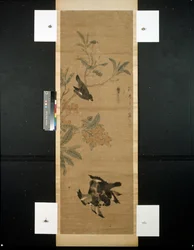 Aves e ramo