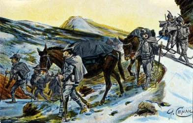Primeira Guerra Mundial: grupo de caçadores alpinos italianos em reconhecimento com as suas mulas em 1915. Ilustração de Quinto Cenni (1845-1917)