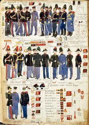 Vários uniformes do Ducado de Parma de Quinto Cenni, placa de cor