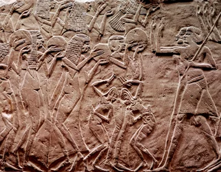 Oferecendo tributo, escultura em relevo egípcio antigo