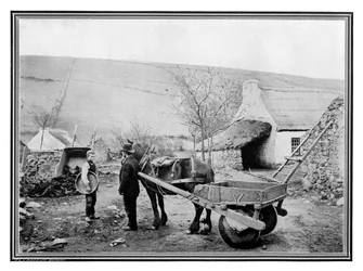 Carro lombar irlandês velho, 1901.