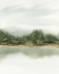 Reflexo na Floresta Envolvida em Nevoeiro