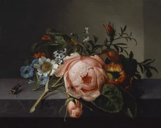Natureza morta com Rose Branch, Beetle e Bee, 1741 (óleo sobre tela montado em carvalho)