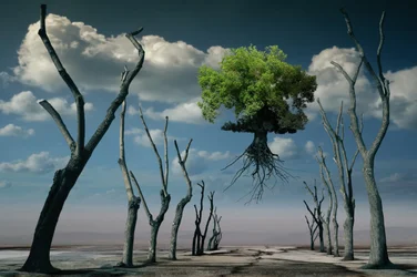 Árvore flutuante surreal