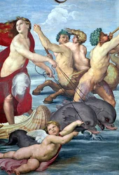 Galatea, detalhe, de, mermen, e, golfinhos, 1506, fresco, detalhe, de, 56473