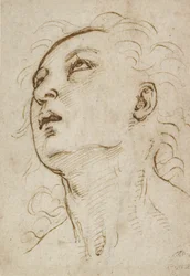 Cabeça de um jovem olhando para cima, c. 1497-1504 (caneta e tinta marrom sobre ponta de metal em papel creme)