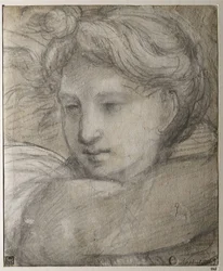 Cabeça de um anjo, c. 1520