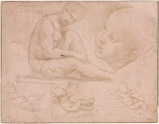 Estudos de uma mulher sentada, cabeça de criança e três estudos de um bebê, c. 1507-8.
