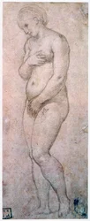 Estudo de Vênus, c1500-1520