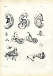 Órgão da Audiência, 1863-79