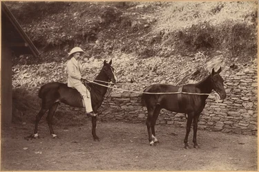 Capitão H. S. Rawhinson (recto)