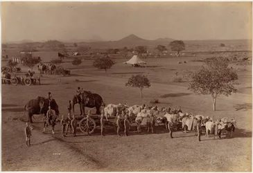 Bateria de campanha pesada, Jhansi