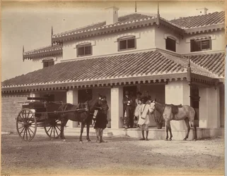 Sr. MacNull, Jhansi (verso)
