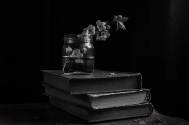 Flores melancólicas sobre livros