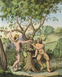 Eva apresentando a maçã da árvore do conhecimento do bem e do mal a Adão (cor litho)