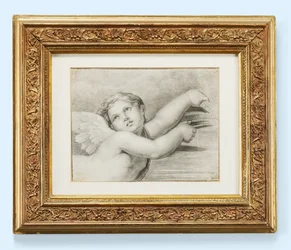 Cabeça de um putto (giz preto no papel)