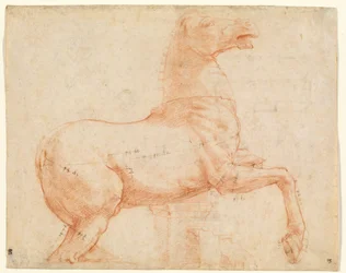 Um cavalo de mármore no Monte Quirinal (recto), c.1513 ( giz vermelho, caneta, tinta castanha, ponta de chumbo e estilete)
