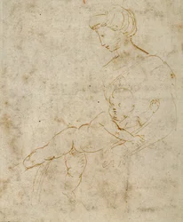Madonna and Child, c.1505 (caneta e tinta marrom sobre papel)