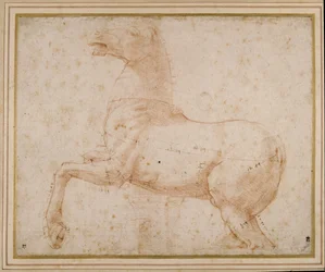Estudo de um cavalo (caneta e tinta e lápis sobre papel)