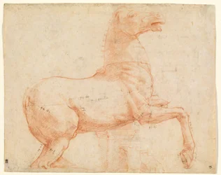 Um Cavalo de Mármore no Monte Quirinal [reto]