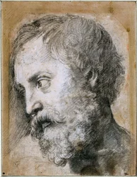 Chefe de um Estudo Apóstolo de Transfiguração, 1519-1520