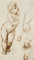 Recto: O Cristo Infante e outros Estudos, 1500-1520