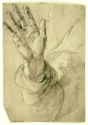 Mão direita levantada, com a palma voltada para fora: Estudo para São Pedro, 1518-20