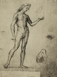 Estudo de nu masculino, desenho de Rafael. Gallerie dell