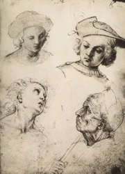 Estudo de quatro rostos masculinos; desenho de Raphael. Gallerie dellAccademia, Veneza