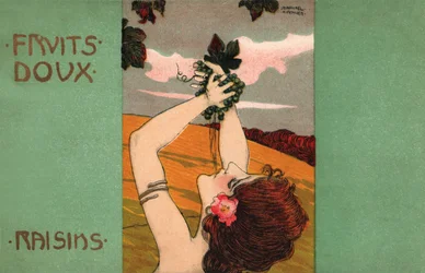 Uvas, c.1900 (ilustração)
