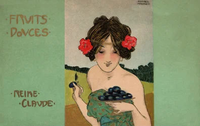Greengages, c.1900 (ilustração)