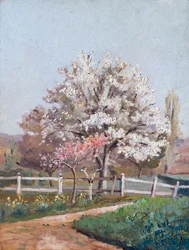 Cerejeiras em flor, c1930s (óleo sobre madeira)