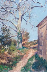 Caminho com canto de casa e plátano, 18-21 de março
