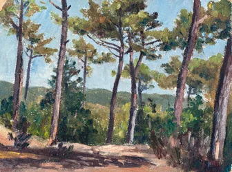 Pinhal (óleo sobre cartão)