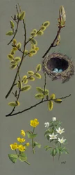 Estudos de primavera (óleo sobre papel)