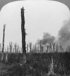 Conchas explosivas altas estourando em Mametz Wood, França, Primeira Guerra Mundial, 1916