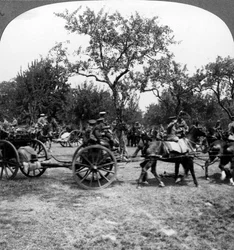 Artilharia puxada a cavalo, Primeira Guerra Mundial, 1914-1918.