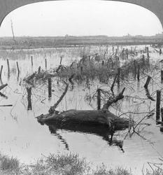 Comporta aberta e arame farpado em Nieuwpoort, Bélgica, Primeira Guerra Mundial, c1914-c1918